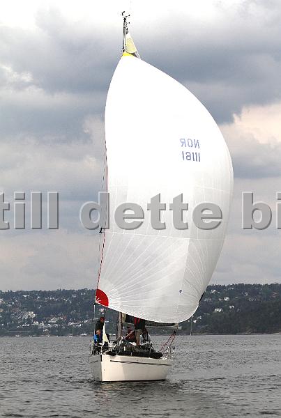 Bundefjorden2012 176.jpg